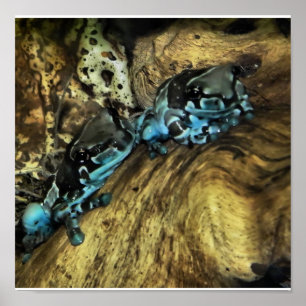 two frogs hanging out print