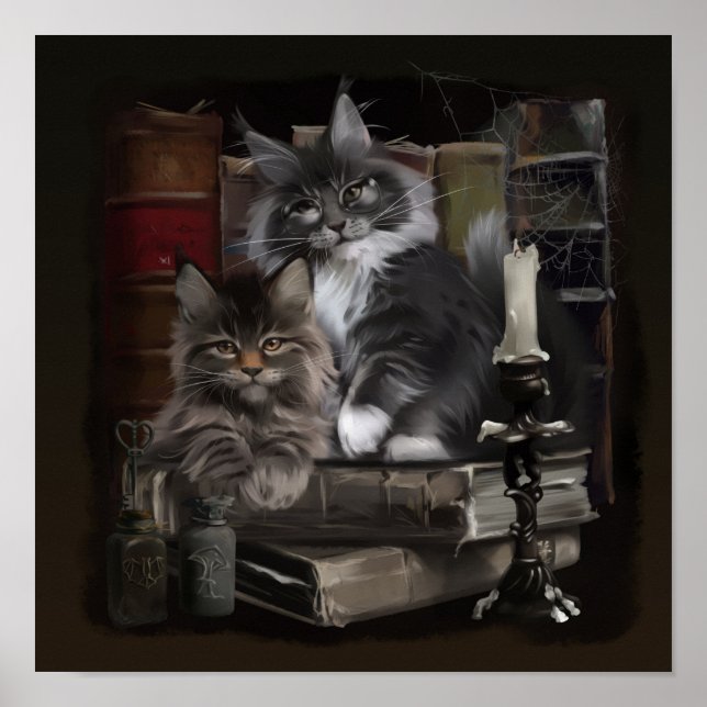 Two furry Maine Coon kittens Poster (Front)