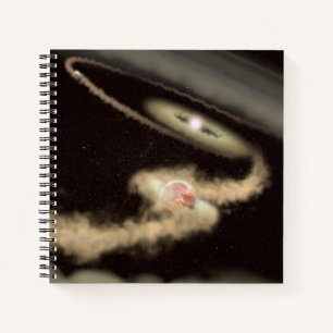 Two Gas Giant Exoplanets Orbiting A Young Star Notebook