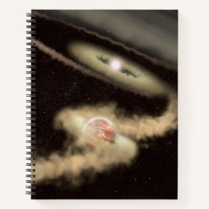 Two Gas Giant Exoplanets Orbiting A Young Star Notebook