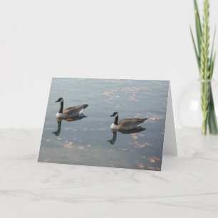 Two Geese card