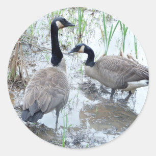 Two geese stickers
