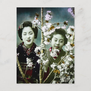 Two Geisha Vintage Japan in Blossoms Japanese Postcard