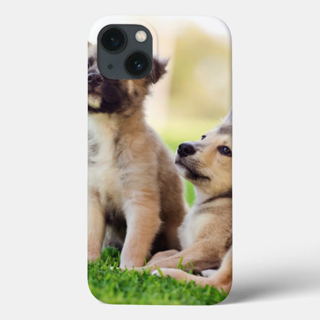 Two German Shepherd Puppies Case-Mate iPhone Case (Back)