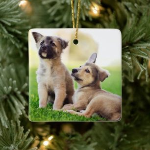 Two German Shepherd Puppies Ceramic Ornament
