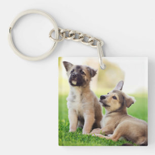 Two German Shepherd Puppies Key Ring