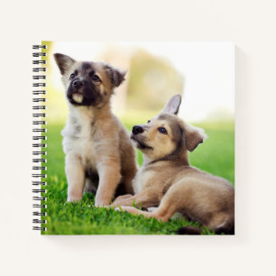 Two German Shepherd Puppies Notebook