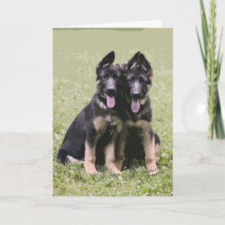 Two German Shepherd Pups Card