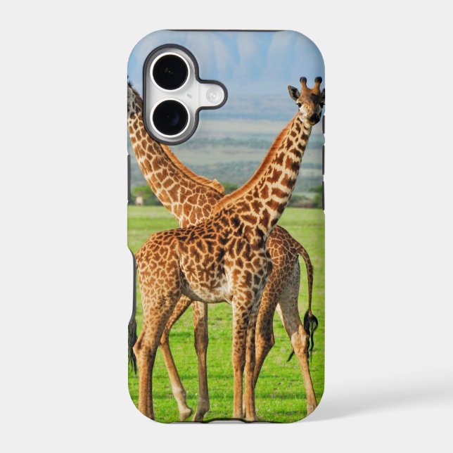 Two Giraffes (Back)