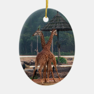 Two giraffes comforting each other in a zoo ceramic tree decoration