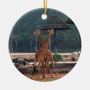Two giraffes comforting each other in a zoo ceramic tree decoration