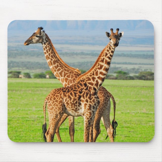 Two Giraffes Mouse Pad (Front)