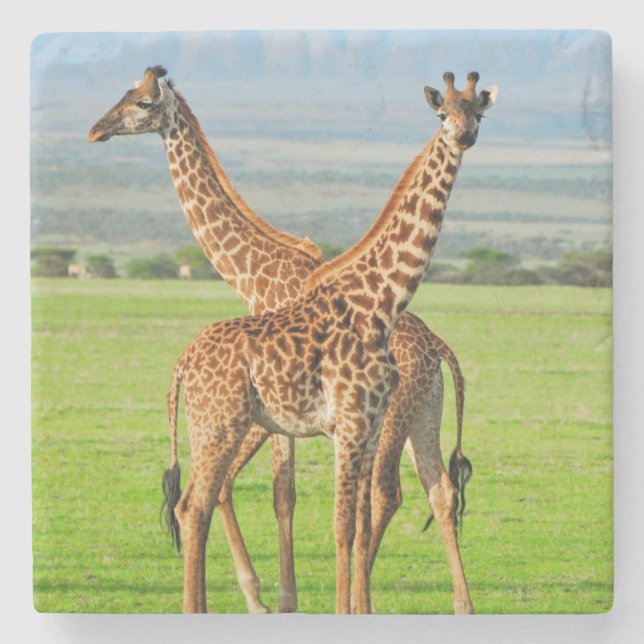 Two Giraffes Stone Coaster (Front)