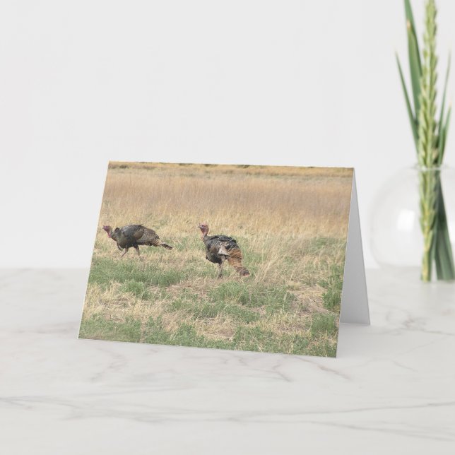 Two Gobblers Holiday Card (Front)