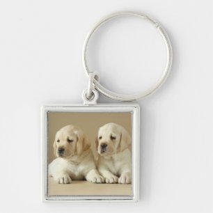Two Golden Labrador Puppies Key Ring