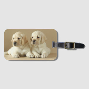 Two Golden Labrador Puppies Luggage Tag