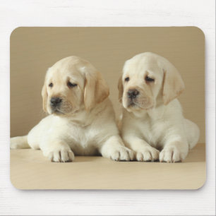 Two Golden Labrador Puppies Mouse Pad