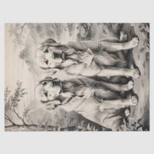 Two Golden Retriever Dogs Portrait Tissue Paper