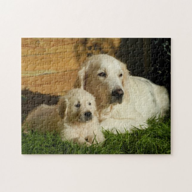 Two Golden Retrievers - Mum & Puppy - Love Jigsaw Puzzle (Horizontal)