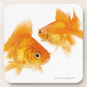 Two Goldfish Crossing Each Other Coaster