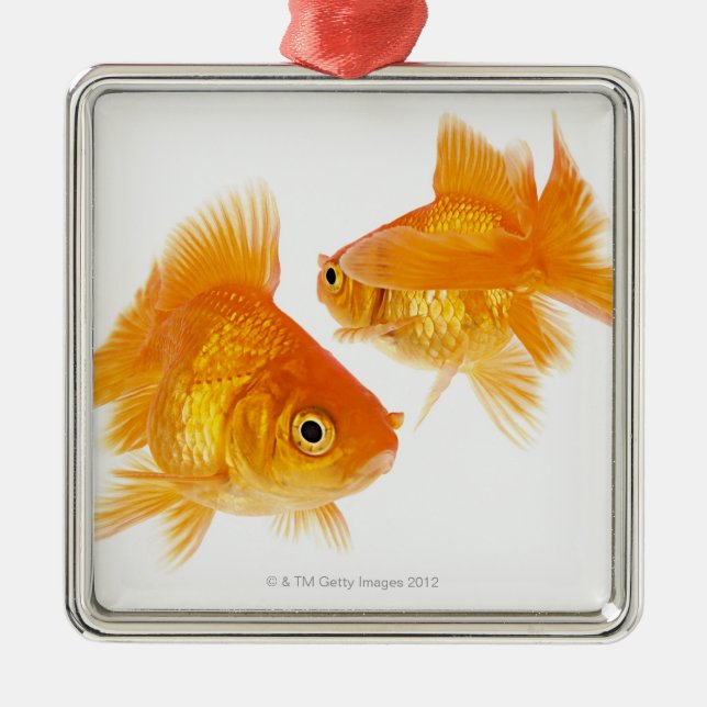 Two Goldfish Crossing Each Other Metal Tree Decoration (Front)