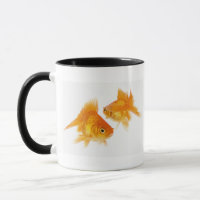 Two Goldfish Crossing Each Other