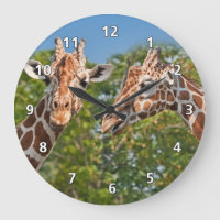 Two Gossiping Giraffes