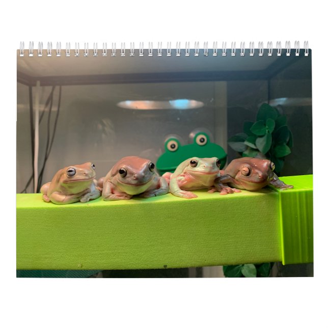 Two Green Frogs 2023 Calendar (Back)