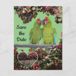 Two Green Parrots Cust. Save the Date Postcard
