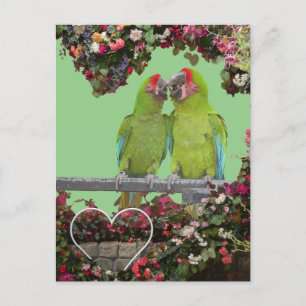 Two Green Parrots Flower Heart DIY Postcard
