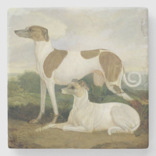 Two Greyhounds in a Landscape (oil on canvas) Stone Coaster