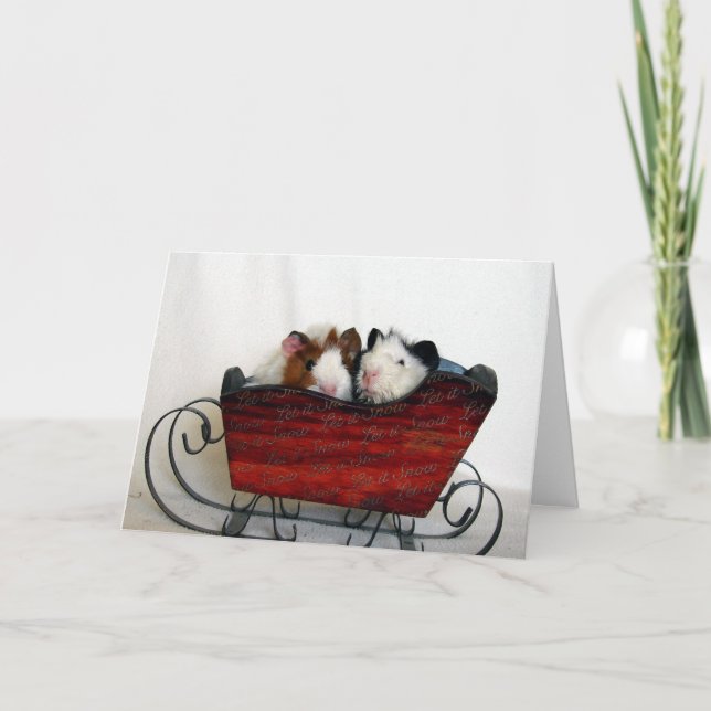 Two Guinea Pigs in a Sleigh, Christmas Holiday Card (Front)