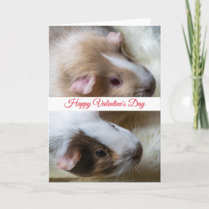Two guinea pigs Valentine's Day card