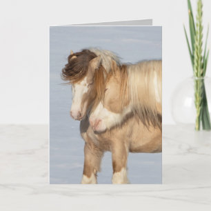 Two Gypsy Stallions - Greeting Card