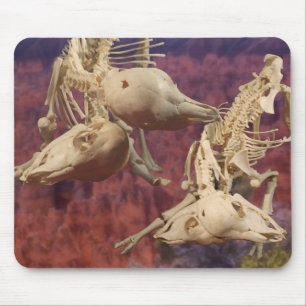 Two-Headed Calf Skeleton Designer Mousepad