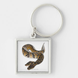 Two headed Royal Python or Ball Python - Python Key Ring
