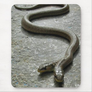 Two Headed Snake Mouse Pad