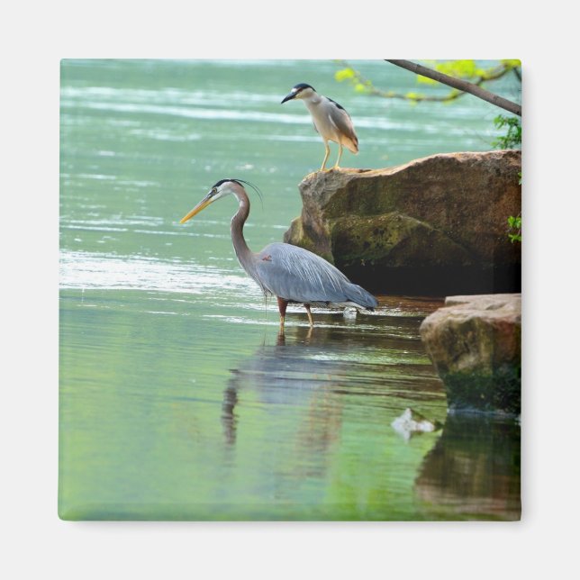 Two Herons by the River Magnet (Front)