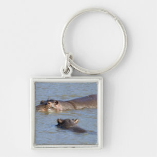 Two hippos in a river, Kruger National Park, Key Ring