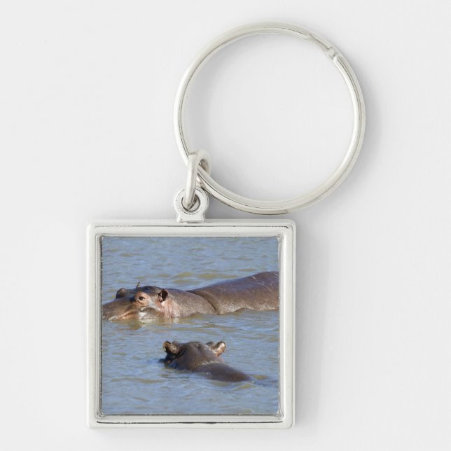 Two hippos in a river, Kruger National Park, Key Ring (Front)