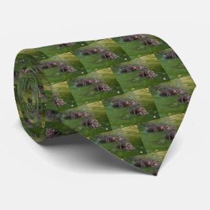 Two Hippos Swimming In Pond, Neck Tie