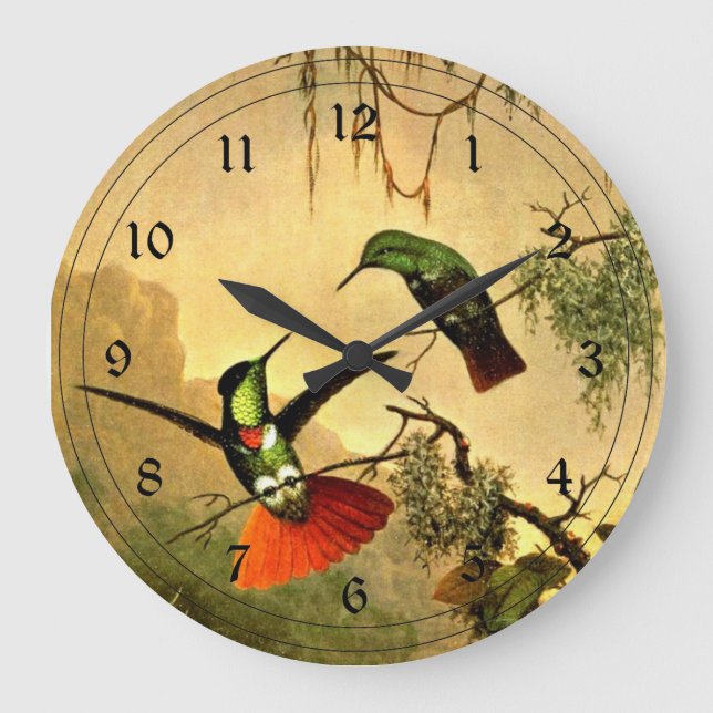 Two Hooded Visorbearer Hummingbirds Large Clock (Front)