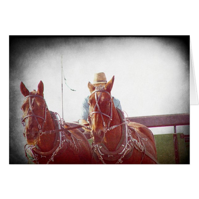 Two Horse Amish Team Faux Vintage (Front Horizontal)