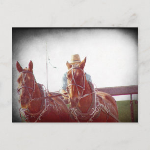 Two Horse Amish Team Faux Vintage Postcard