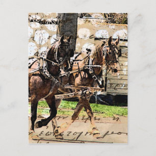 Two Horse Team Mixed Media Collage Postcard