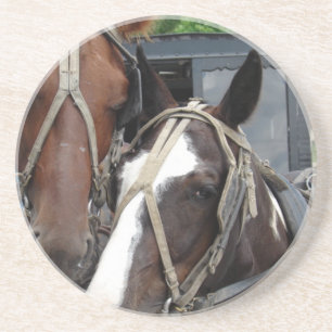 Two Horse Team With One Pinto Coaster