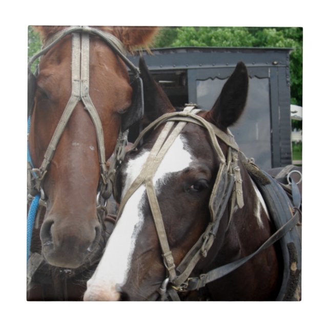 Two Horse Team With One Pinto Tile (Front)