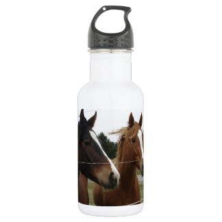 Two Horses 532 Ml Water Bottle