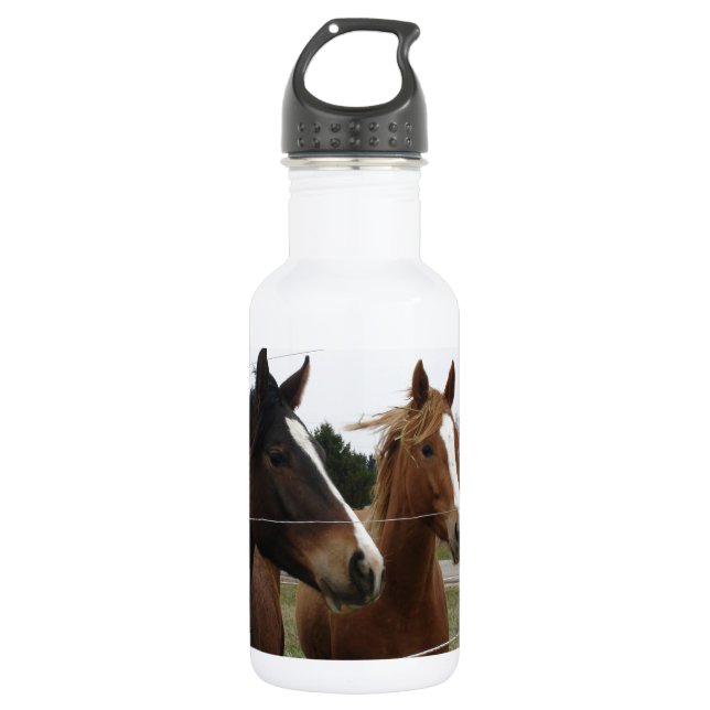 Two Horses 532 Ml Water Bottle (Front)