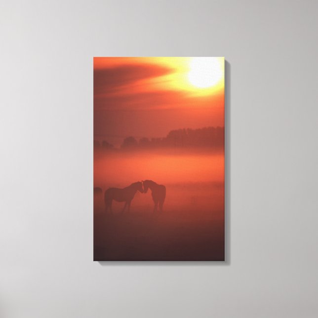 Two horses at sunset canvas print (Front)